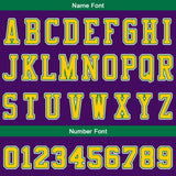 Custom Basketball Jersey Uniform Suit Printed Your Logo Name Number Purple-Green