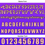 Custom Purple Jersey Personalized Baseball Shirt for Men Women Kids Youth